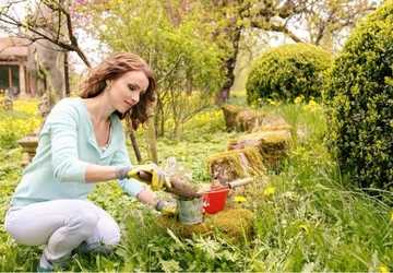 How to Create a Pet-Friendly Garden Safely