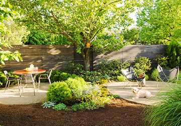 How to Create a Pet-Friendly Garden Top Ideas